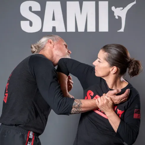 SAMI-X Seminar